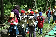 feclu_2006_147.jpg