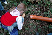 feclu_2006_167.jpg