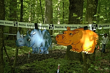 feclu_2006_240.jpg