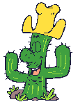 Kaktus Kaktus