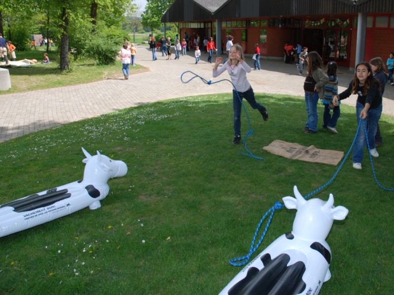 Lasso werfen