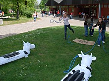 Lasso werfen