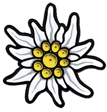 Edelweiss Edelweiss