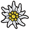 Edelweiss