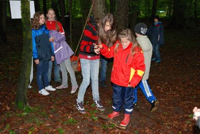 Spiel im Wald Spiel im Waldd